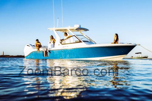 Edgewater 262 CX ficha tecnica 